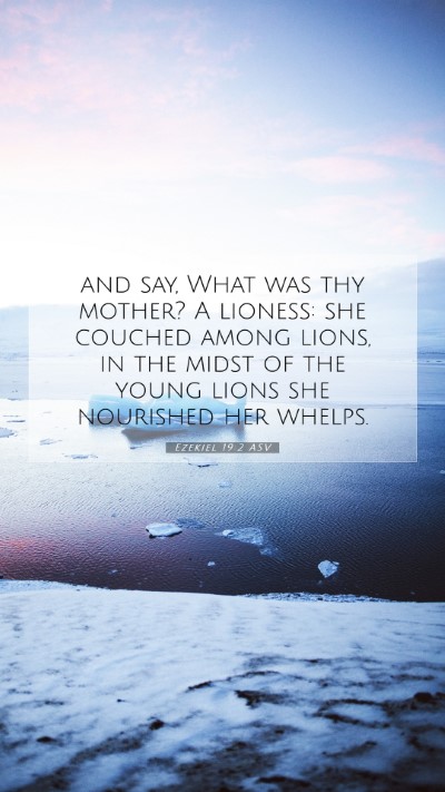 Picture 07 - Ezekiel 19:2 ASV Mobile Phone Wallpaper - and say, What was thy mother? A lioness: she - Mobile Bible Verse Wallpaper