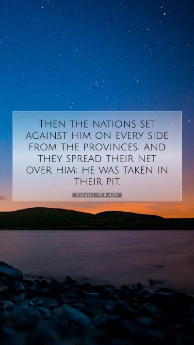 Picture 07 - Ezekiel 19:8 ASV Mobile Phone Wallpaper - Then the nations set against him on every side - Mobile Bible Verse Wallpaper