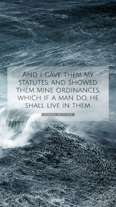 Picture 07 - Ezekiel 20:11 ASV Mobile Phone Wallpaper - And I gave them my statutes, and showed them mine - Mobile Bible Verse Wallpaper