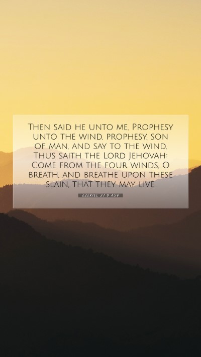 Picture 07 - Ezekiel 37:9 ASV Mobile Phone Wallpaper - Then said he unto me, Prophesy unto the wind, - Mobile Bible Verse Wallpaper