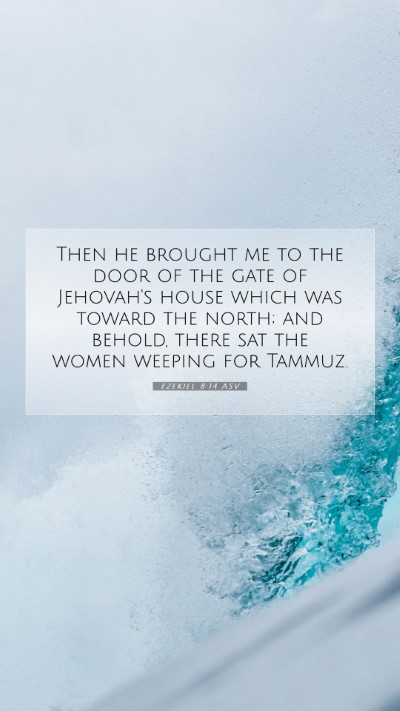 Picture 07 - Ezekiel 8:14 ASV Mobile Phone Wallpaper - Then he brought me to the door of the gate of - Mobile Bible Verse Wallpaper