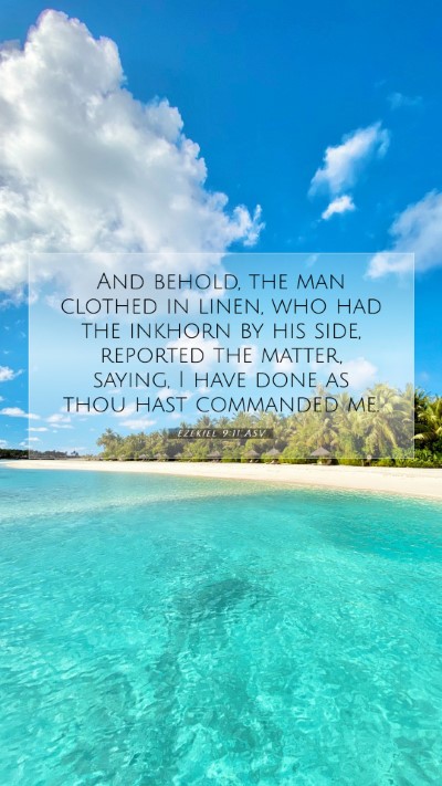 Picture 07 - Ezekiel 9:11 ASV Mobile Phone Wallpaper - And behold, the man clothed in linen, who had the - Mobile Bible Verse Wallpaper