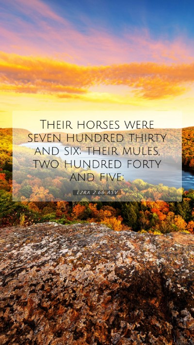 Picture 07 - Ezra 2:66 ASV Mobile Phone Wallpaper - Their horses were seven hundred thirty and six; - Mobile Bible Verse Wallpaper