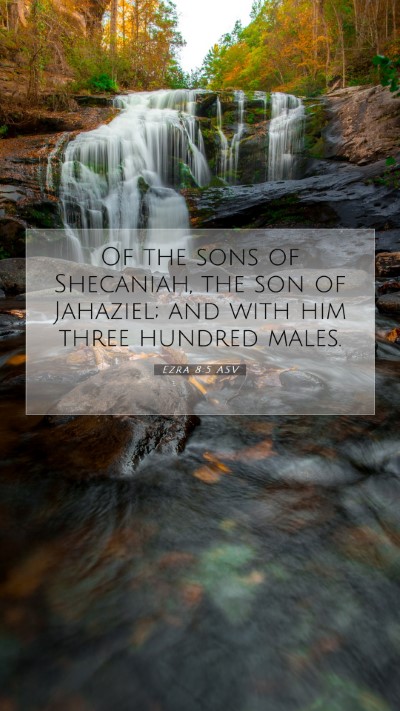 Picture 07 - Ezra 8:5 ASV Mobile Phone Wallpaper - Of the sons of Shecaniah, the son of Jahaziel; - Mobile Bible Verse Wallpaper