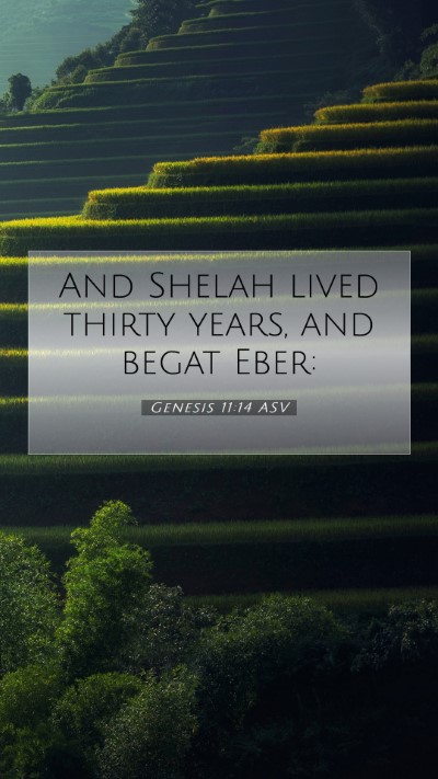 Picture 07 - Genesis 11:14 ASV Mobile Phone Wallpaper - And Shelah lived thirty years, and begat - Mobile Bible Verse Wallpaper