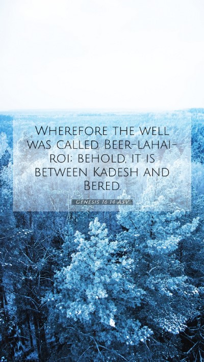 Picture 07 - Genesis 16:14 ASV Mobile Phone Wallpaper - Wherefore the well was called Beer-lahai-roi; - Mobile Bible Verse Wallpaper