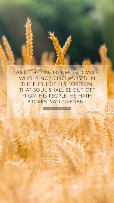 Picture 07 - Genesis 17:14 ASV Mobile Phone Wallpaper - And the uncircumcised male who is not circumcised - Mobile Bible Verse Wallpaper