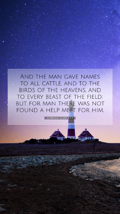 Picture 07 - Genesis 2:20 ASV Mobile Phone Wallpaper - And the man gave names to all cattle, and to the - Mobile Bible Verse Wallpaper
