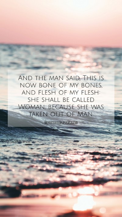 Picture 07 - Genesis 2:23 ASV Mobile Phone Wallpaper - And the man said, This is now bone of my bones, - Mobile Bible Verse Wallpaper