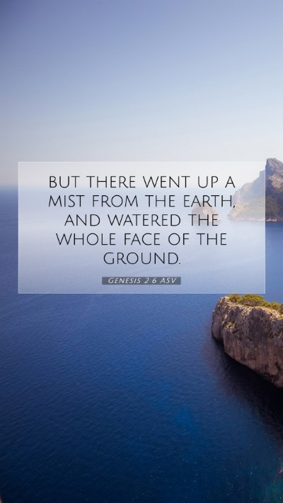 Picture 07 - Genesis 2:6 ASV Mobile Phone Wallpaper - but there went up a mist from the earth, and - Mobile Bible Verse Wallpaper