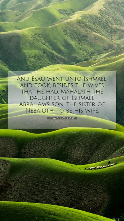 Picture 07 - Genesis 28:9 ASV Mobile Phone Wallpaper - And Esau went unto Ishmael, and took, besides the - Mobile Bible Verse Wallpaper