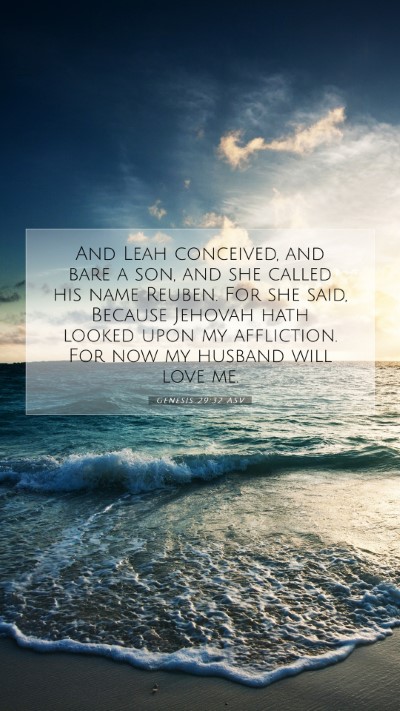Picture 07 - Genesis 29:32 ASV Mobile Phone Wallpaper - And Leah conceived, and bare a son, and she - Mobile Bible Verse Wallpaper