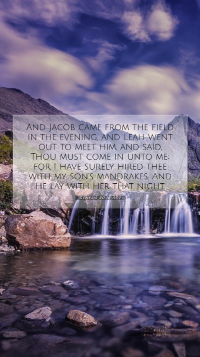 Picture 07 - Genesis 30:16 ASV Mobile Phone Wallpaper - And Jacob came from the field in the evening, and - Mobile Bible Verse Wallpaper