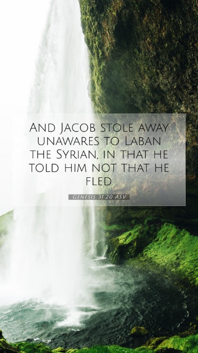 Picture 07 - Genesis 31:20 ASV Mobile Phone Wallpaper - And Jacob stole away unawares to Laban the - Mobile Bible Verse Wallpaper