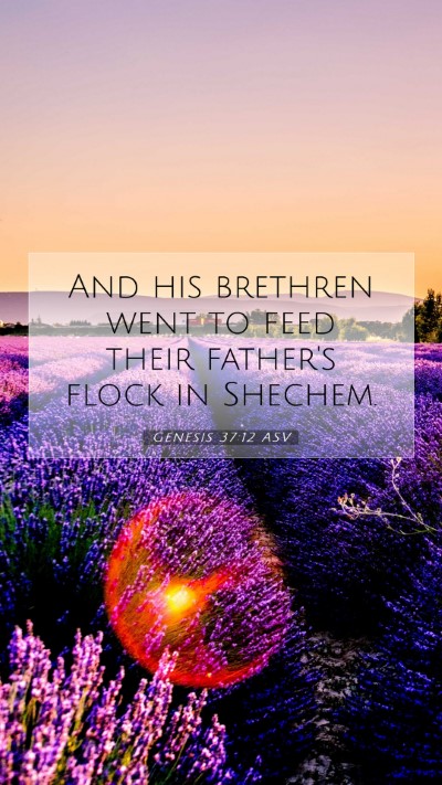 Picture 07 - Genesis 37:12 ASV Mobile Phone Wallpaper - And his brethren went to feed their father's - Mobile Bible Verse Wallpaper