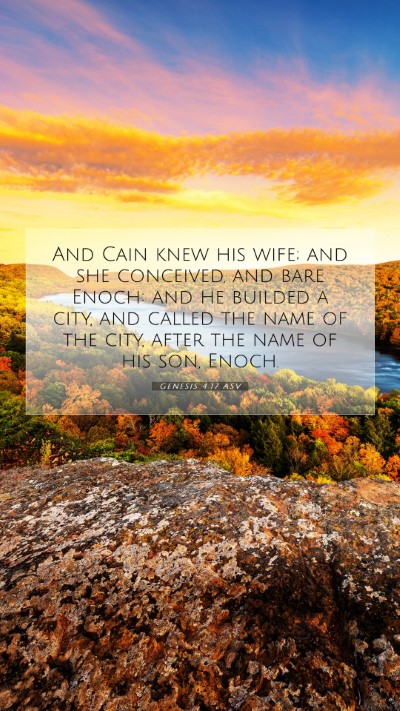 Picture 07 - Genesis 4:17 ASV Mobile Phone Wallpaper - And Cain knew his wife; and she conceived, and - Mobile Bible Verse Wallpaper