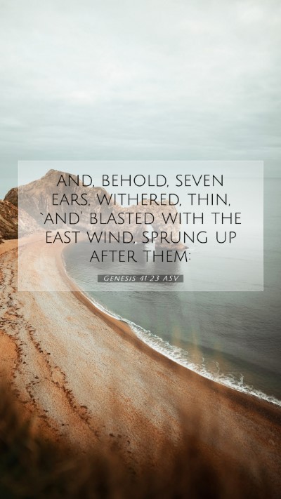 Picture 07 - Genesis 41:23 ASV Mobile Phone Wallpaper - and, behold, seven ears, withered, thin, `and' - Mobile Bible Verse Wallpaper