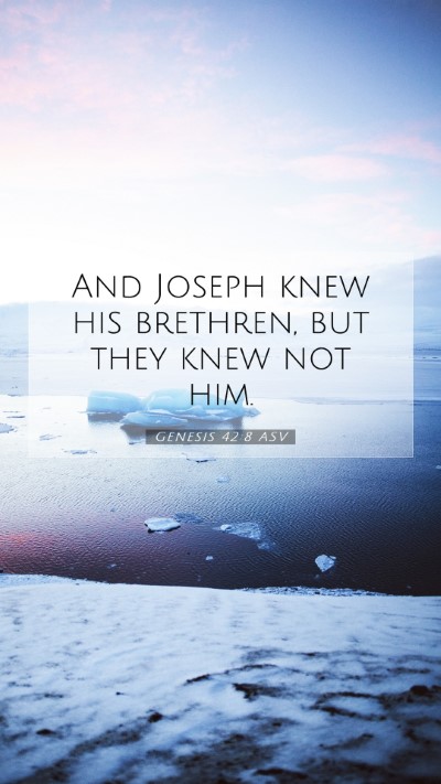 Picture 07 - Genesis 42:8 ASV Mobile Phone Wallpaper - And Joseph knew his brethren, but they knew not - Mobile Bible Verse Wallpaper