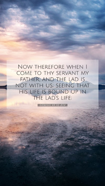 Picture 07 - Genesis 44:30 ASV Mobile Phone Wallpaper - Now therefore when I come to thy servant my - Mobile Bible Verse Wallpaper
