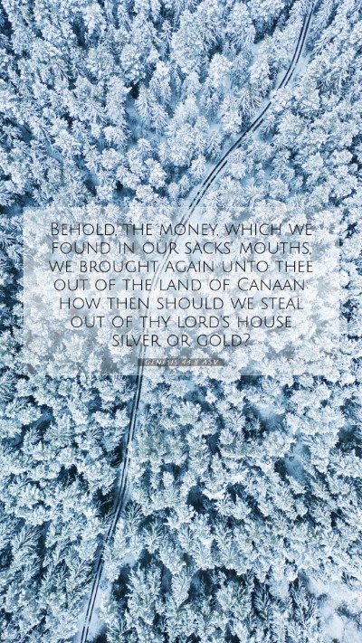 Picture 07 - Genesis 44:8 ASV Mobile Phone Wallpaper - Behold, the money, which we found in our sacks' - Mobile Bible Verse Wallpaper
