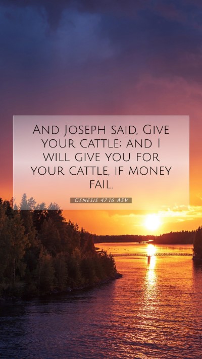 Picture 07 - Genesis 47:16 ASV Mobile Phone Wallpaper - And Joseph said, Give your cattle; and I will - Mobile Bible Verse Wallpaper