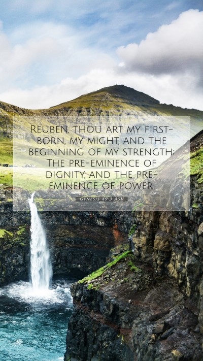 Picture 07 - Genesis 49:3 ASV Mobile Phone Wallpaper - Reuben, thou art my first-born, my might, and the - Mobile Bible Verse Wallpaper
