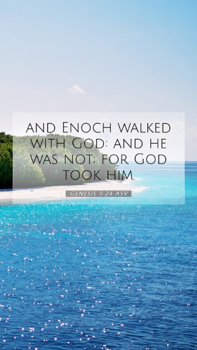 Picture 07 - Genesis 5:24 ASV Mobile Phone Wallpaper - and Enoch walked with God: and he was not; for - Mobile Bible Verse Wallpaper