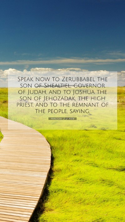 Picture 07 - Haggai 2:2 ASV Mobile Phone Wallpaper - Speak now to Zerubbabel the son of Shealtiel, - Mobile Bible Verse Wallpaper