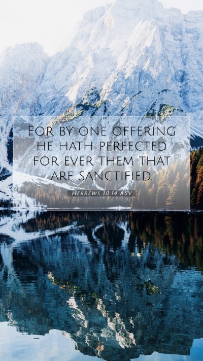 Picture 07 - Hebrews 10:14 ASV Mobile Phone Wallpaper - For by one offering he hath perfected for ever - Mobile Bible Verse Wallpaper