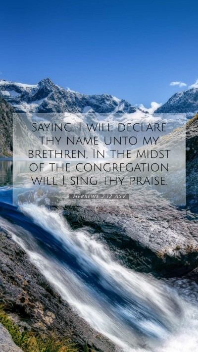 Picture 07 - Hebrews 2:12 ASV Mobile Phone Wallpaper - saying, I will declare thy name unto my brethren, - Mobile Bible Verse Wallpaper