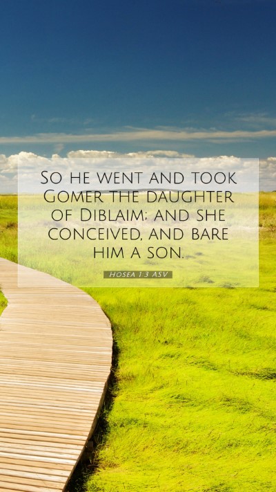 Picture 07 - Hosea 1:3 ASV Mobile Phone Wallpaper - So he went and took Gomer the daughter of - Mobile Bible Verse Wallpaper