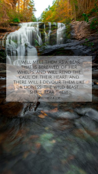 Picture 07 - Hosea 13:8 ASV Mobile Phone Wallpaper - I will meet them as a bear that is bereaved of - Mobile Bible Verse Wallpaper