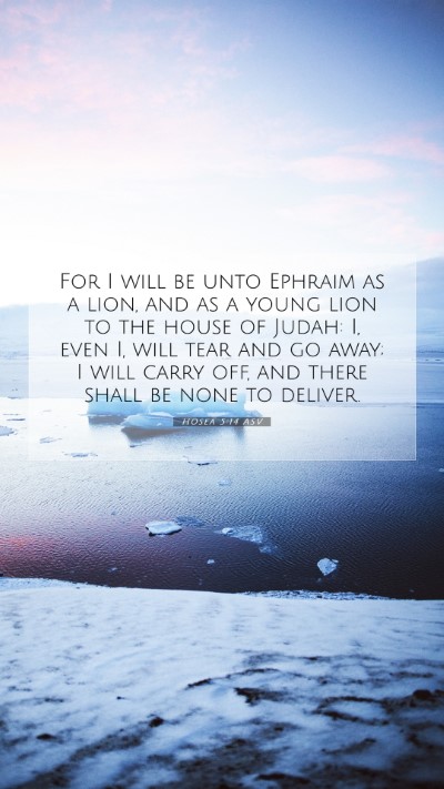 Picture 07 - Hosea 5:14 ASV Mobile Phone Wallpaper - For I will be unto Ephraim as a lion, and as a - Mobile Bible Verse Wallpaper