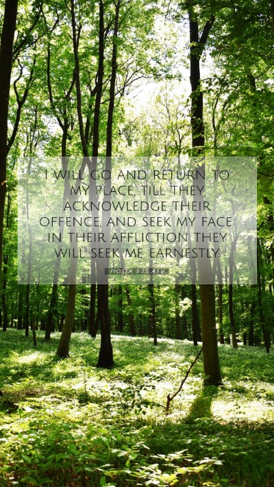 Picture 07 - Hosea 5:15 ASV Mobile Phone Wallpaper - I will go and return to my place, till they - Mobile Bible Verse Wallpaper
