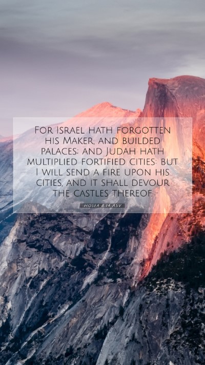 Picture 07 - Hosea 8:14 ASV Mobile Phone Wallpaper - For Israel hath forgotten his Maker, and builded - Mobile Bible Verse Wallpaper