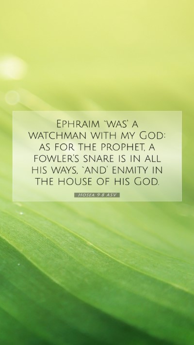 Picture 07 - Hosea 9:8 ASV Mobile Phone Wallpaper - Ephraim `was' a watchman with my God: as for the - Mobile Bible Verse Wallpaper