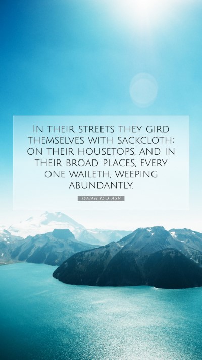 Picture 07 - Isaiah 15:3 ASV Mobile Phone Wallpaper - In their streets they gird themselves with - Mobile Bible Verse Wallpaper