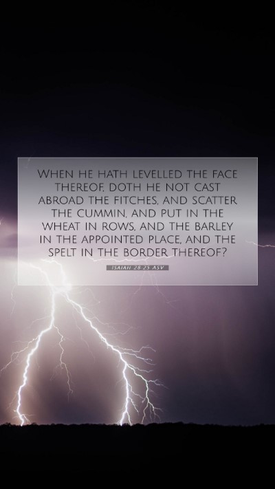 Picture 07 - Isaiah 28:25 ASV Mobile Phone Wallpaper - When he hath levelled the face thereof, doth he - Mobile Bible Verse Wallpaper