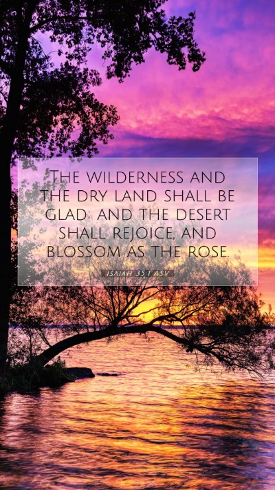 Picture 07 - Isaiah 35:1 ASV Mobile Phone Wallpaper - The wilderness and the dry land shall be glad; - Mobile Bible Verse Wallpaper