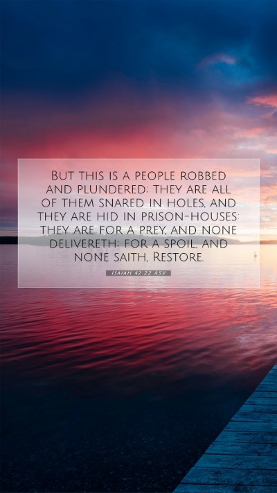 Picture 07 - Isaiah 42:22 ASV Mobile Phone Wallpaper - But this is a people robbed and plundered; they - Mobile Bible Verse Wallpaper
