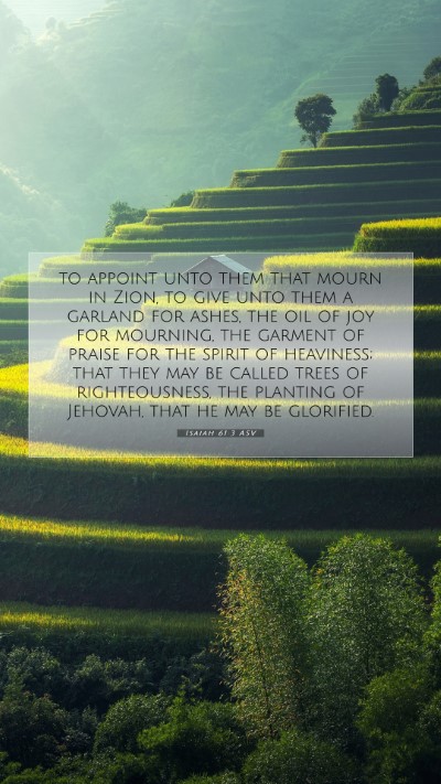 Picture 07 - Isaiah 61:3 ASV Mobile Phone Wallpaper - to appoint unto them that mourn in Zion, to give - Mobile Bible Verse Wallpaper