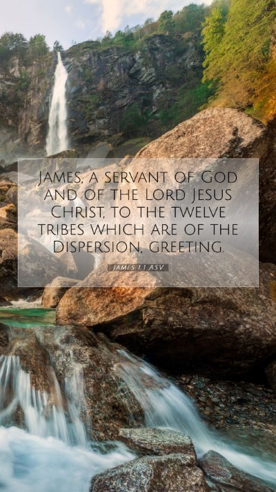 Picture 07 - James 1:1 ASV Mobile Phone Wallpaper - James, a servant of God and of the Lord Jesus - Mobile Bible Verse Wallpaper