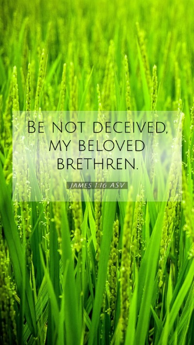 Picture 07 - James 1:16 ASV Mobile Phone Wallpaper - Be not deceived, my beloved - Mobile Bible Verse Wallpaper