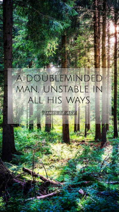 Picture 07 - James 1:8 ASV Mobile Phone Wallpaper - a doubleminded man, unstable in all his - Mobile Bible Verse Wallpaper