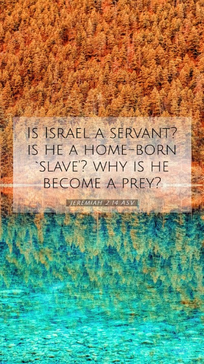 Picture 07 - Jeremiah 2:14 ASV Mobile Phone Wallpaper - Is Israel a servant? is he a home-born `slave'? - Mobile Bible Verse Wallpaper