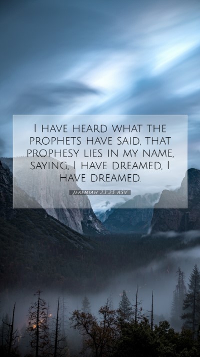 Picture 07 - Jeremiah 23:25 ASV Mobile Phone Wallpaper - I have heard what the prophets have said, that - Mobile Bible Verse Wallpaper