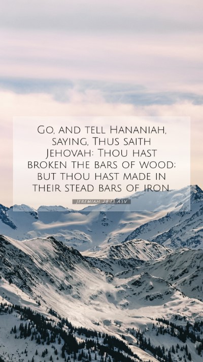Picture 07 - Jeremiah 28:13 ASV Mobile Phone Wallpaper - Go, and tell Hananiah, saying, Thus saith - Mobile Bible Verse Wallpaper