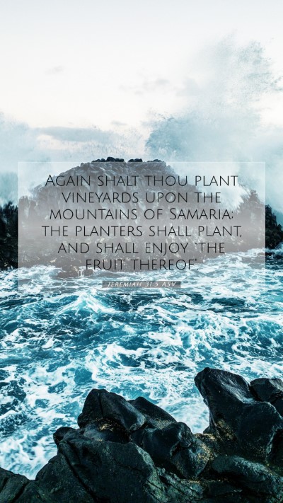 Picture 07 - Jeremiah 31:5 ASV Mobile Phone Wallpaper - Again shalt thou plant vineyards upon the - Mobile Bible Verse Wallpaper