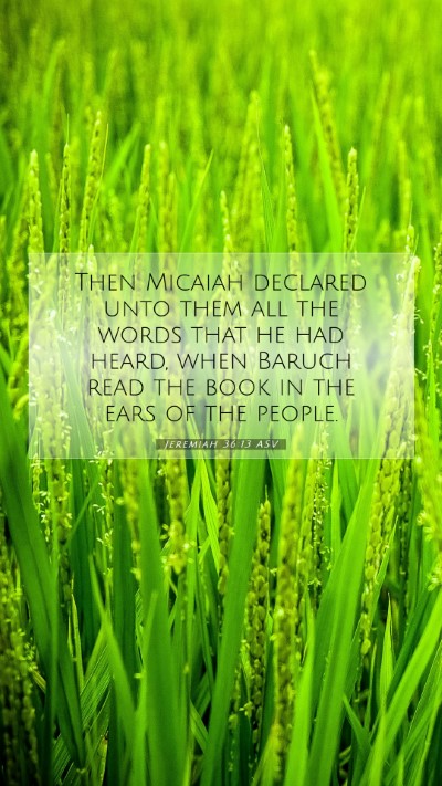 Picture 07 - Jeremiah 36:13 ASV Mobile Phone Wallpaper - Then Micaiah declared unto them all the words - Mobile Bible Verse Wallpaper