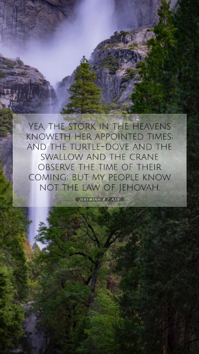 Picture 07 - Jeremiah 8:7 ASV Mobile Phone Wallpaper - Yea, the stork in the heavens knoweth her - Mobile Bible Verse Wallpaper